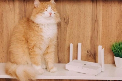 Should You Upgrade Your Router When Your ISP Pushes a New One?