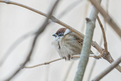 Дожди и ветер накроют Приморье в субботу
