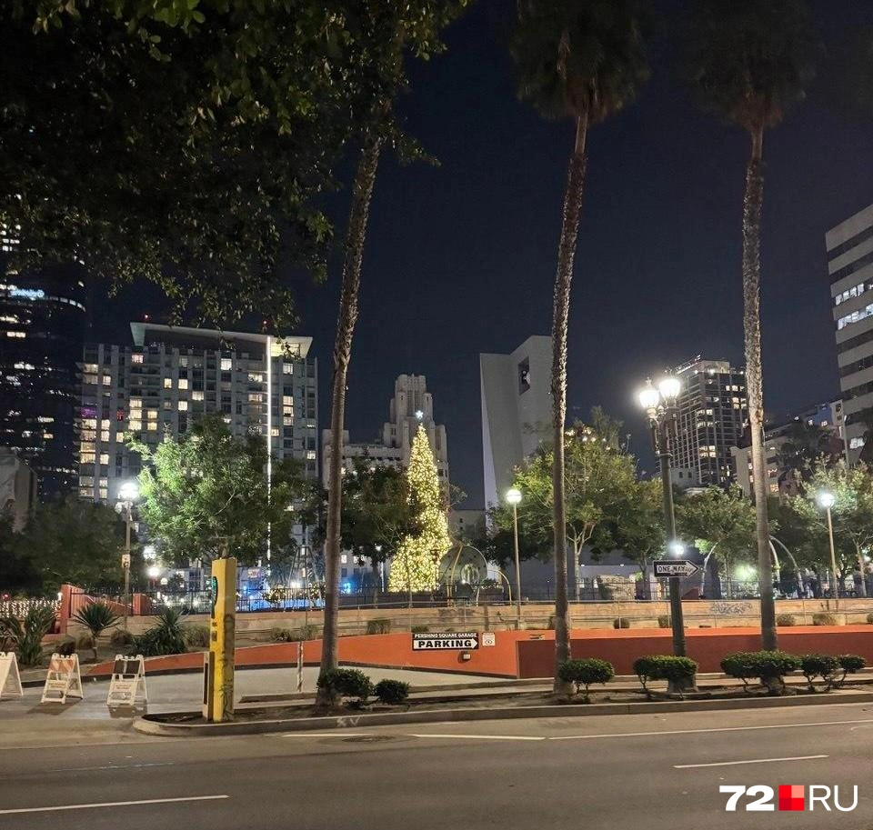 Каток и елка в Даунтауне Лос-Анджелеса | Источник: читатель 72.RU