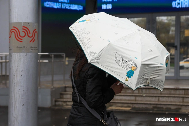 МЧС выпустило экстренное предупреждение о непогоде в Москве и области | Источник: Артем Устюжанин / MSK1.RU