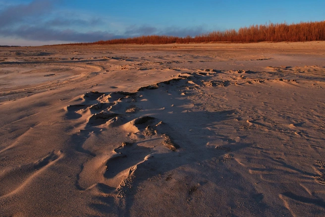 Источник: Сергей Коршилов / «ВКонтакте»