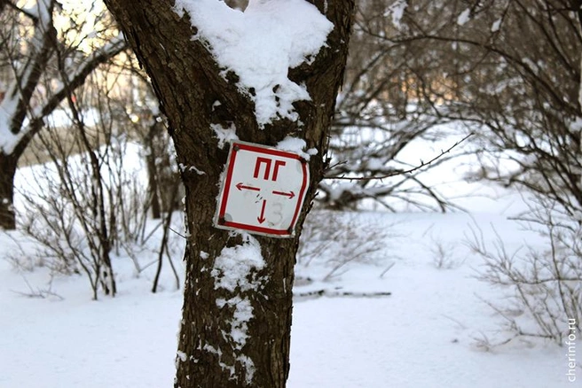 Источник: st.cherinfo.ru