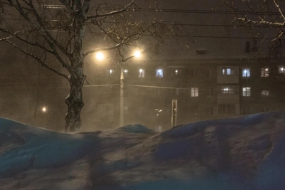 Курганскую область накроют штормовой ветер и метели