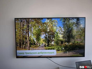 Телевизор для презентаций и видео | Источник: Анастасия Селиверстова / 59.RU
