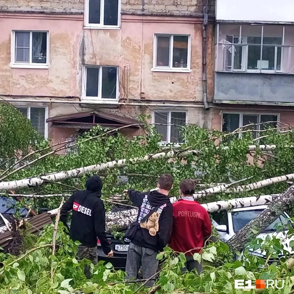 Источник: читатель E1.RU