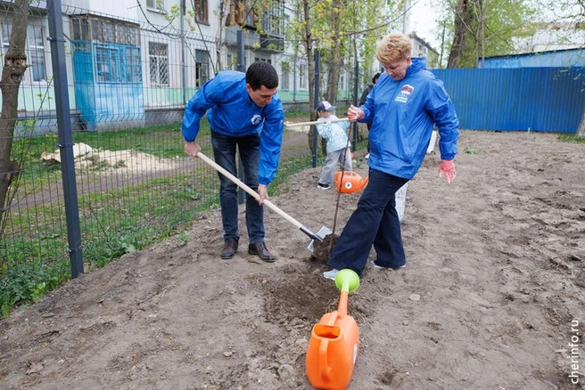 Источник: st.cherinfo.ru
