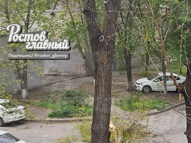 Источник: Ростов главный / Telegram.org