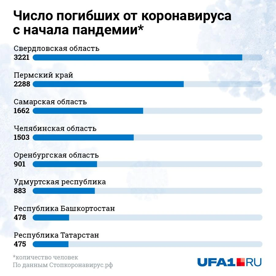 Число погибших с начала пандемии | Источник: Евгения Бикунова