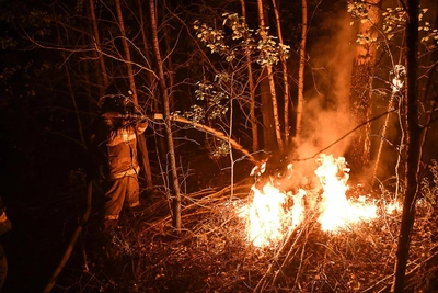 В Зауралье выделили средства на защиту лесов от огня
