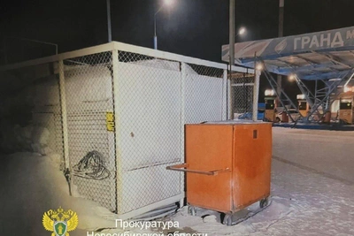 Подростки задержаны за поджоги АЗС в Новосибирске и Бердске