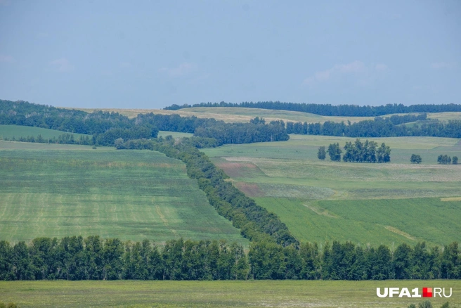 Бескрайние поля сверху | Источник: Булат Салихов / UFA1.RU