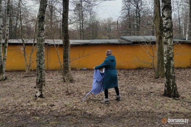 «Кто расстроится, что снега не будет, не переживайте». Синоптик Колесов скорректировал прогноз | Источник: Михаил Огнев / «Фонтанка.ру»