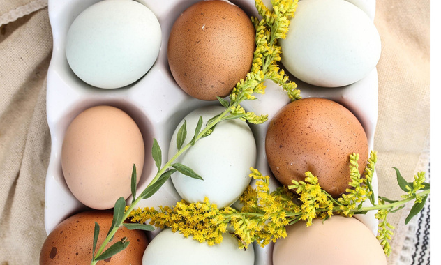 Типичная ошибка при варке, из-за которой яйца становятся вредны для здоровья