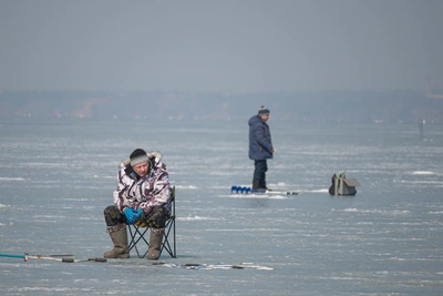 Корюшка и навага исчезли у берегов Приморья