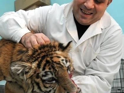 Внешний вид Жорика в то время шокировал | Источник: Карен Даллакян / соцсети