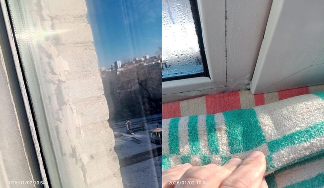 Источник: Newsbox24 / T.me