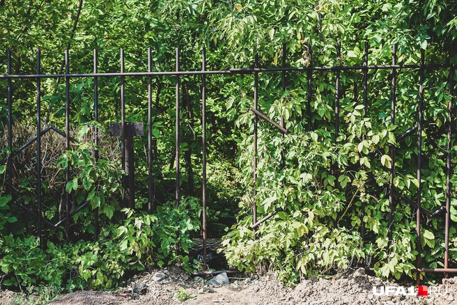 Через щель в школьном заборе можно убежать в лес | Источник: Тимур Шарипкулов