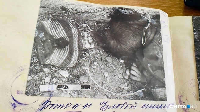 Источник: Виктория Михайлюк