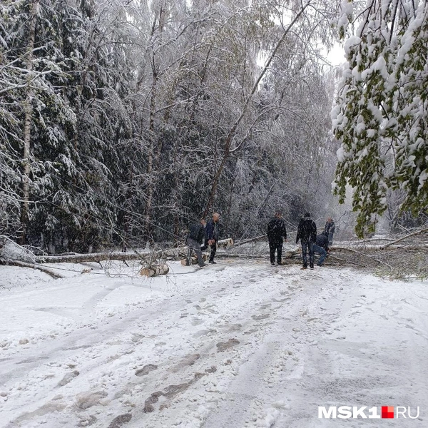 Источник: читательница MSK1.RU