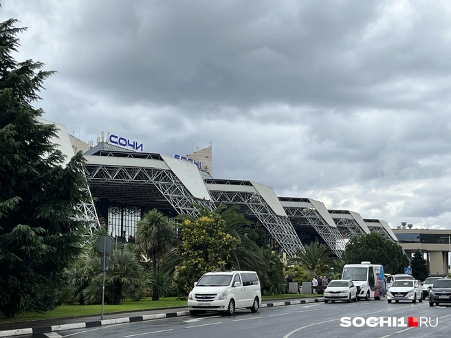 Стабилизировать расписание обещают за два дня  | Источник: Анна Грицевич / SOCHI1.RU