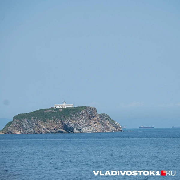 Источник: Елена Буйвол / VLADIVOSTOK1.RU