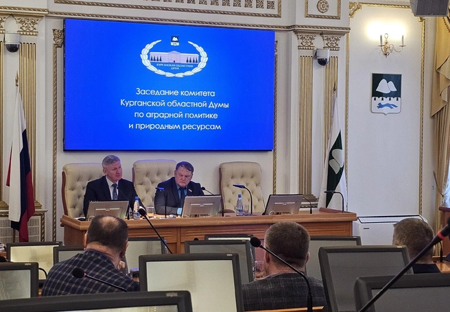 Проблемы бездомных животных обсуждали на комитете по аграрной политике и природным ресурсам  | Источник: Дарья Никитченко / 45.RU