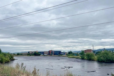 Опасные токсины из Бурятии отправят на переработку в Новокузнецк