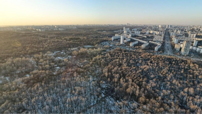 А на этой фотографии сверху хорошо видно, где предложили построить два тоннеля. Слева&nbsp;— Ясенево, справа&nbsp;— Чертаново | Источник: «Яндекс Карты»
