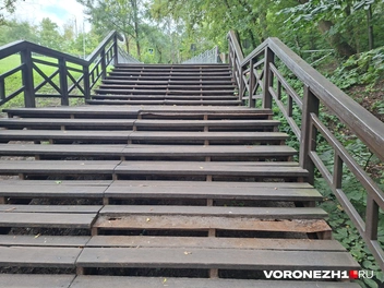 Источник: Алёна Воропаева / Voronezh1.ru
