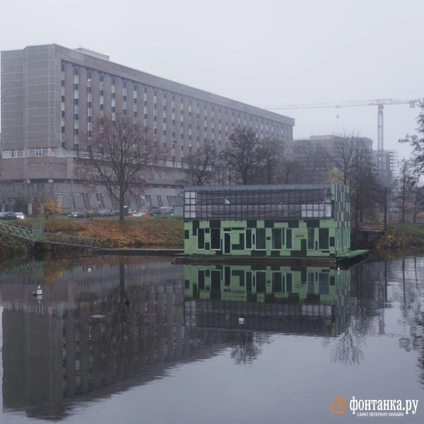 Источник: Сергей Николаев / FONTANKA.RU