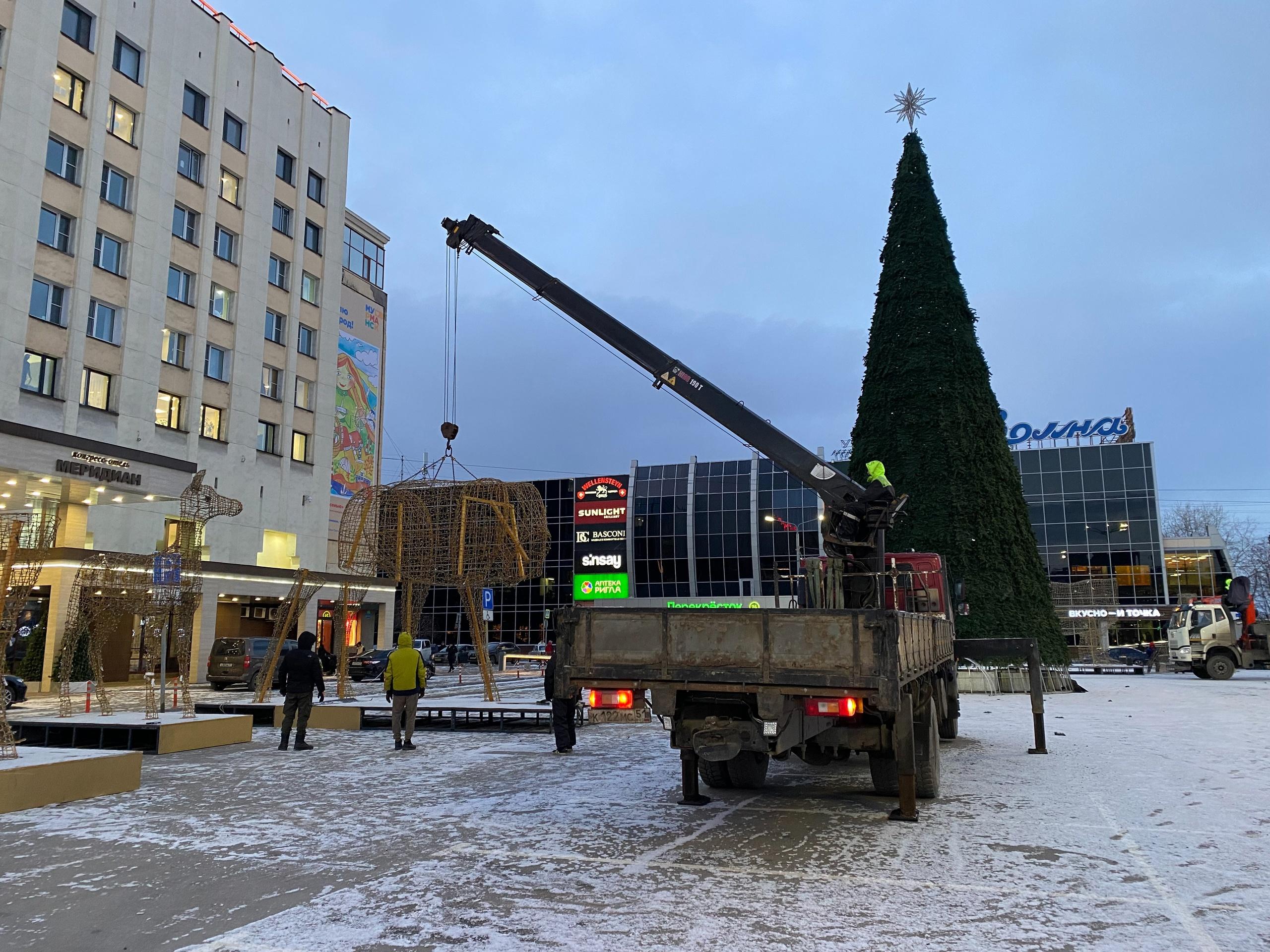 Стало известно, когда откроют главную елку в центре Мурманска 