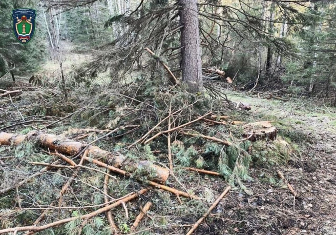 Расследование в отношении иных участников продолжается | Источник: www.city-n.ru