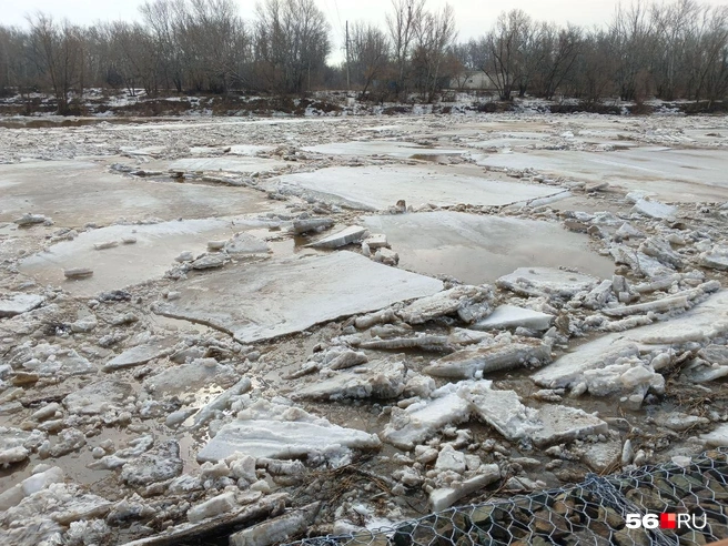 В прошлом году на льдинах дрейфовали дети. В этом вряд ли найдутся желающие | Источник: Владислав Митрошин / 56.RU