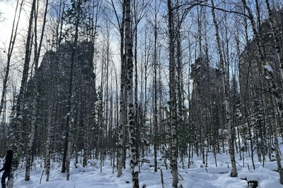 ЛизаАлерт готовится к новым поискам семьи Усольцевых