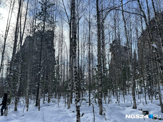 Кутурчин | Источник: Алексей Тайганавт / NGS24.RU