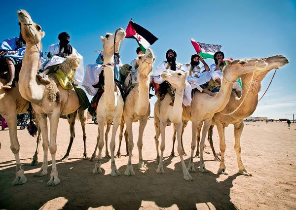 Алый ковер на песке Сахары