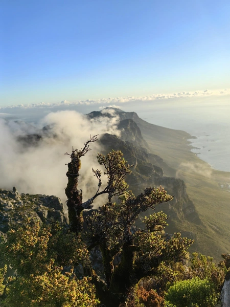 Африка — это не только пустыня. Здесь очень много красивых мест | Источник: Лена Михеева / Vk.com