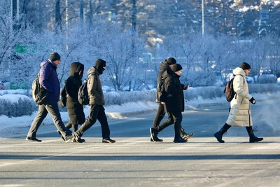 Стоит ли отменять школьные занятия из-за морозов