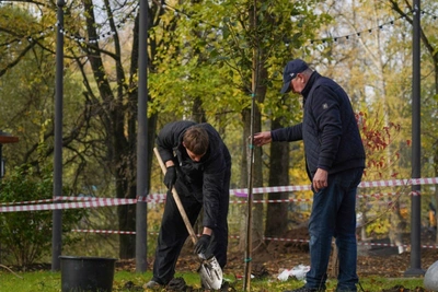 В Кремлёвском саду Вологды высадят около 130 деревьев