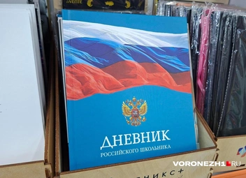 Источник: Алёна Воропаева / Voronezh1.ru
