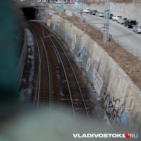 Источник: Елена Буйвол / VLADIVOSTOK1.RU