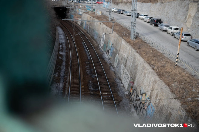 Источник: Елена Буйвол / VLADIVOSTOK1.RU