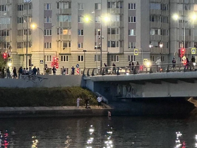 Пострадавший самостоятельно выбрался из Дудергофского канала | Источник: читатель «Фонтанки»