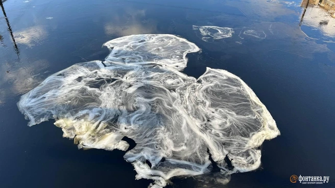 Источник: Валентин Егоршин/«Фонтанка.ру»