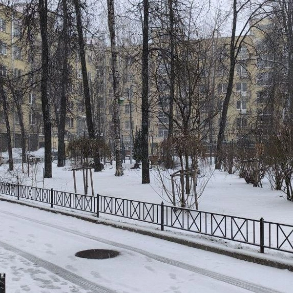 Источник: читатель «Фонтанки»