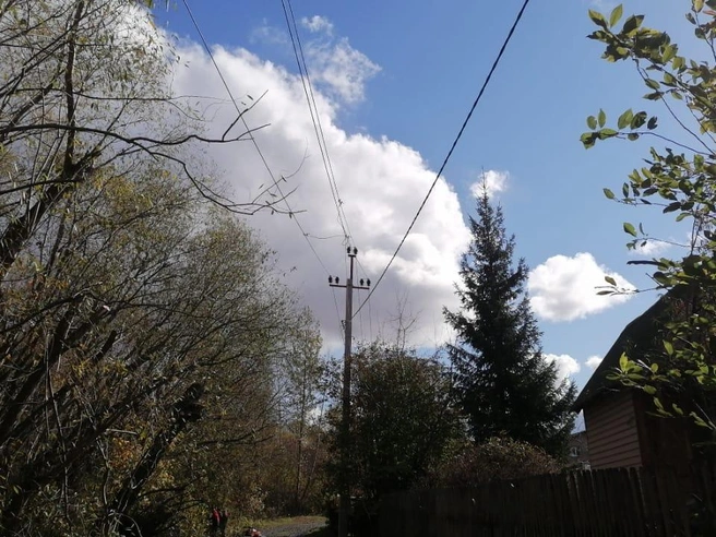 На реагирование РЭС ушло чуть больше месяца. | Источник: Юрий Решетников