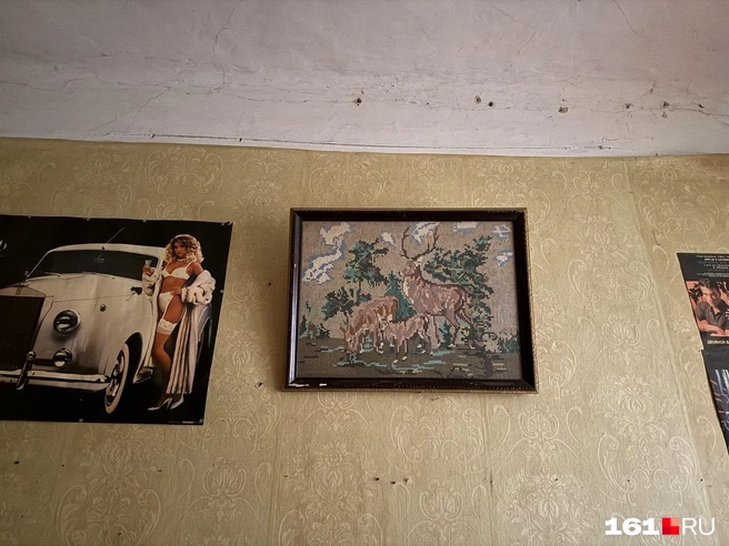 Источник: Марина Рыбалкина / 161.RU