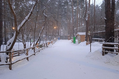 Ульяновцам прогнозируют снежную погоду в начале недели