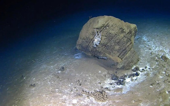 5500 метров под водой: посмотрите на дно Индийского океана глазами глубоководного аппарата