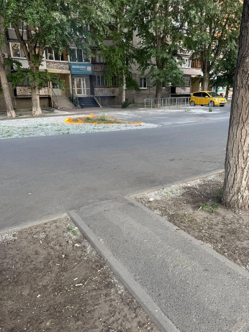 А вы в детстве жгли пух? Признавайтесь! | Источник: Читатель 72.RU